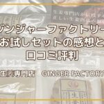 生姜好き注目！ジンジャーファクトリーをお試しセットの感想と口コミ評判【GINGER FACTORY】